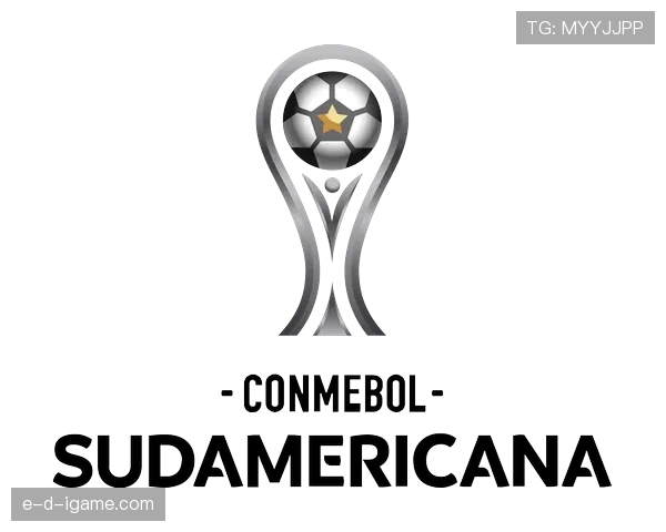 南美杯新赛制启动，各队备战冲刺，竞争力显著提升引关注