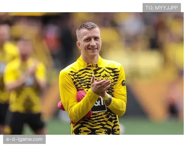 德甲新星闪耀赛场，多特蒙德众将状态回暖续写辉煌