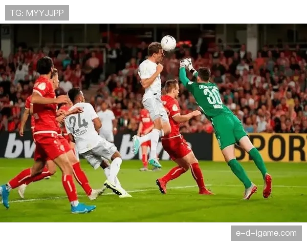 德甲球队阵容深度持续优化,竞争力增强